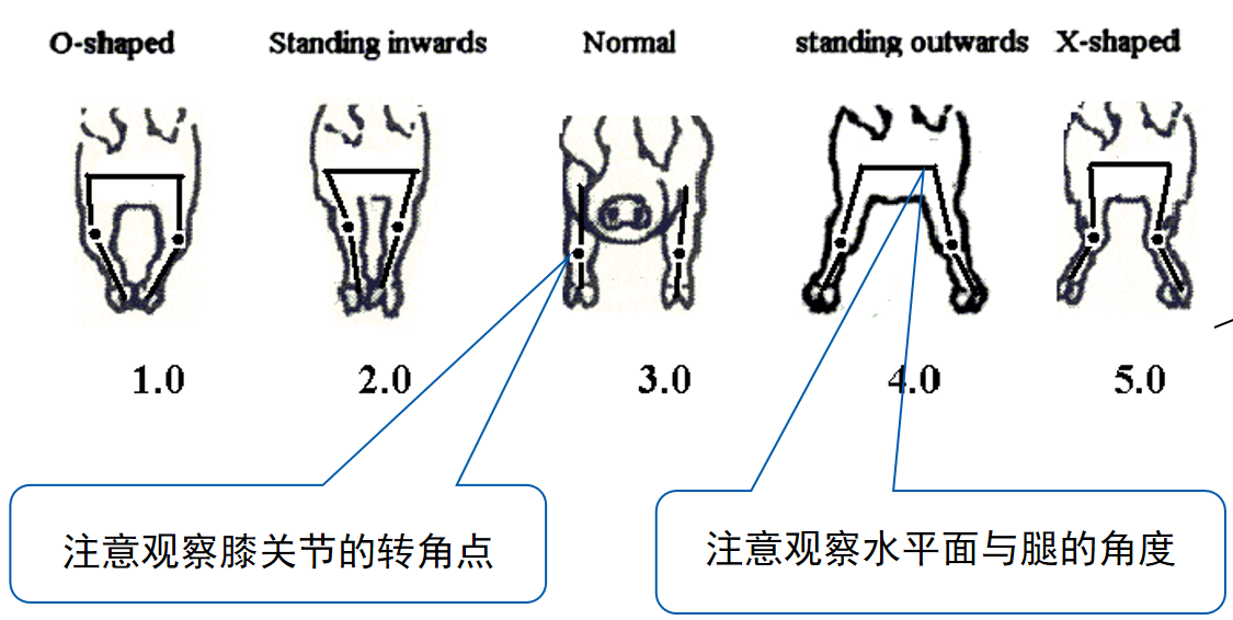 企业微信截图_16781595922829.png