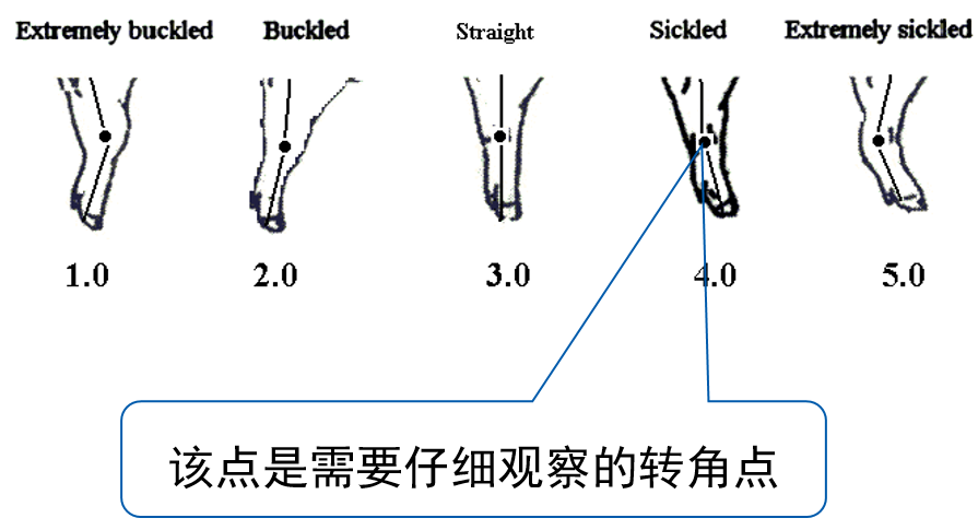 企业微信截图_16781598796079.png