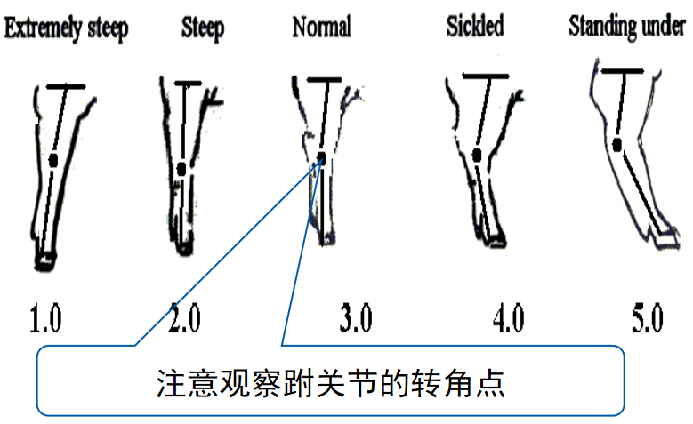 企业微信截图_16781599927328.png